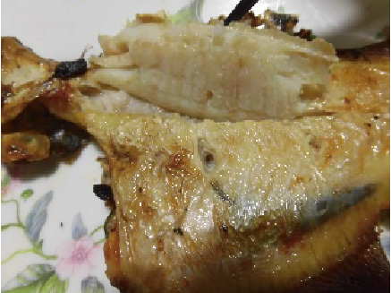 軽石干し 焼き魚画像②